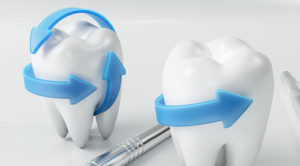 歯が動く仕組みを理解しましょう